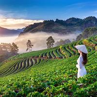 View of Ho Chi Minh and Hanoi - Sapa with Hung Temple