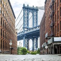 View of Washington DC and New York City by Train