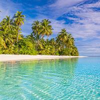 View of Tahiti and Auckland by Air