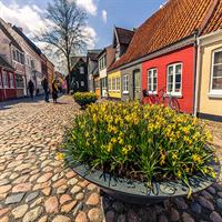 /images/apkg/66/odense_-_old_town-1070101-500.jpg