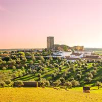 View of Lisbon and The Alentejo: Chauffeured Collection (Evora - Beja)