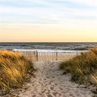 View of New York and The Hamptons (Self Drive)