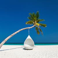 /images/apkg/8024/maldives_-_tree_hammock-1899786-500.jpg