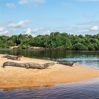 View of Rio de Janeiro - Iguassu Falls (Brazil) - Pantanal and Amazon Lodge Stays by Air
