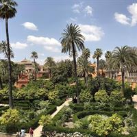 Alcazar and Cathedral of Seville Tour with Skip the Line Tickets