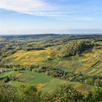 /images/apkg/970/burgundy_-_franche-comte_-_vineyards-4099246-500.jpg