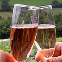 /images/apkg/970/champagne_country_-_view_1-4968447-500.jpg