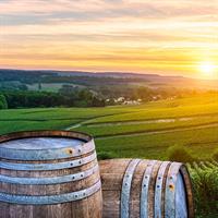 /images/apkg/970/champagne_country_-_view_2-4968448-500.jpg