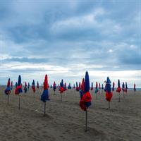 /images/apkg/970/normandy_-_cote_fleurie_-_umbrellas-3460143-500.jpg