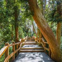 View of Runway to Ride: Buenos Aires and Bariloche - Villa La Angostura