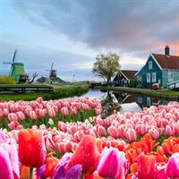 View of Brussels - Bruges - Antwerp - Amsterdam: Chauffeured Collection