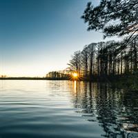 View of Newport News - Hampton - Virginia Beach - Chesapeak - Portsmouth (Self Drive)