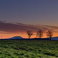 View of Eugene - Corvallis - Salem - Portland (Self Drive)
