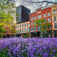 View of Denver Getaway