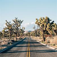 View of San Diego - Palm Springs - Joshua Tree National Park - Las Vegas (Self Drive)