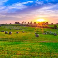 View of The Famous Kentucky Bourbon Route (Self Drive)