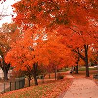 View of Southern Wisconsin Lakeshores Self Drive (Lake Geneva - Lake Michigan Shore - Milwaukee)