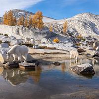 View of Washington Self Drive (Seattle - Leavenworth - Spokane)