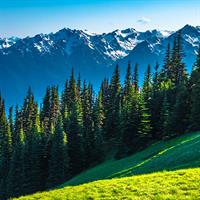 View of Seattle - Olympic National Park - Olympia - Portland (Self Drive)