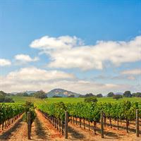 View of Yosemite National Park and Sonoma Valley (Self Drive)