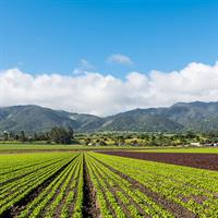 View of Charming Towns of California Self Drive (Monterey - Cambria - San Luis Obispo)