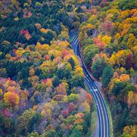 View of The Ultimate Fall Foliage (Self Drive)