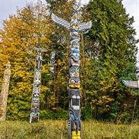 View of Seattle - Victoria - Vancouver by Air