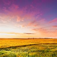 View of Fargo - Grand Forks - Minot - Williston - Dickinson - Billings - Bozeman (Self Drive)