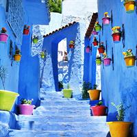 /images/apkg/995/chefchaouen_-_blue_street_with_flowerpots-1114887-500.jpg