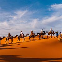 /images/apkg/995/marrakech_-_camels-5939629-500.jpg