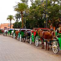 /images/apkg/995/marrakech_-_streets_of_marrakech-5866456-500.jpg