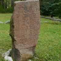 3-4h Viking History Short Day Tour from Stockholm