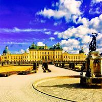 Drottningholm Palace Private Guided Tour