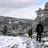 1-Day Small-Group Stockholm Nature Hiking