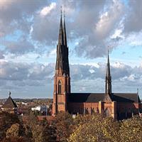 Private Day Tour to Uppsala - Uppsala Cathedral, Viking Burials and countryside