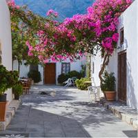 A full 8 hour Santrorini Tour (private)