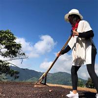 Authentic coffee experience in Palmitas farm near Medellin