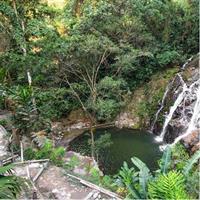 Minca day-trip and Coffee Farm Visit from Santa Marta