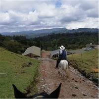 Best Horseback Adventure from Medellin