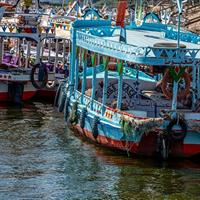 Aswan Botanical Garden &amp; Private Felucca Tour