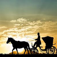 Aswan City Private Tour By Horse Carriage