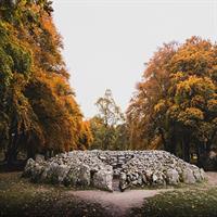 Glen Affric &amp; Culloden Tour from Inverness Including Admissions