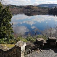 Historical Tour and Seafood Experience