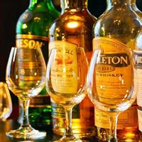 /images/asst/1169/dublin_-_whiskey_-673559-500.jpg