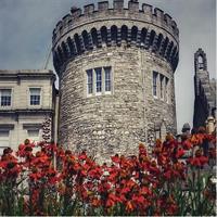 Best Intro Tour of Dublin with a Local