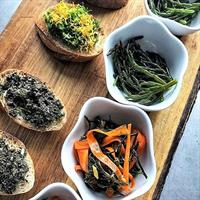 Abalone farm tour and tasting with coastal seaweed walk. Guided. 2 hours