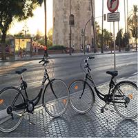 2 Hours Rental Electric Kickscooter