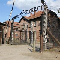 Auschwitz and Birkenau Memorial and Museum Guided Tour from Krakow