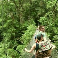 Hanging Bridges, Arenal Volcano, La Fortuna Waterfall, Paradise Hot Springs and Dinner (Guided)