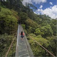 Arenal Hanging Bridges Canopy Walk (Guided)